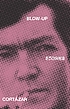 Blow-up, and other stories by Julio Cortázar