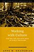 Working with culture : how the job gets done in... by  Anne M Khademian 