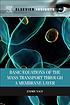 Basic equations of the mass transport through... by  Endre Nagy 