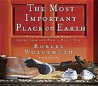 The most important place on earth : [what a Christian home looks like and how to build one]