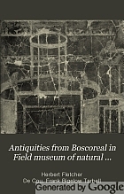 Antiquities from Boscoreal in Field Museum of Natural History