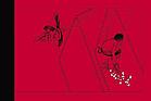 Process recess : James Jean, selected paintings, sketchbooks & illustrations, 1999-2004.
