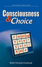 Consciousness & choice : finding your soulmate