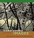 Transforming images : New Mexican santos in-between worlds