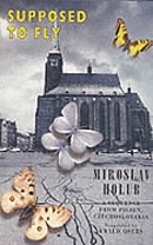 Supposed to fly : a sequence from Pilsen, Czechoslovakia