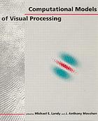Computational models of visual processing