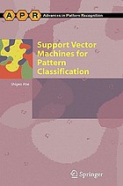 Support vector machines for pattern classification