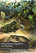 Deutschlands Amphibien und Reptilien : eine Beschreibung und Schilderung sämmtlicher in Deutschland und den angrenzenden Gebeiten vorkommenden Lurche und Kreichthiere