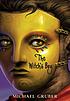 The witch's boy door Michael Gruber