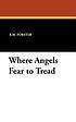 Where angels fear to tread door E  M Forster