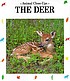 The deer : forest friend door Serge Simon