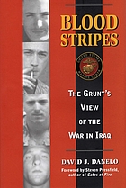 Blood stripes : the grunt's view of the war in Iraq