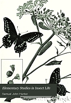 Elementary studies in insect life,
