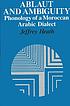Ablaut and ambiguity : phonology of a Moroccan Arabic dialect