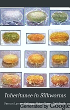 Inheritance in silkworms,