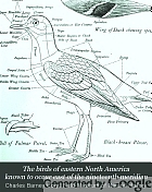 The birds of eastern North America known to occur east of the nineteenth meridian ...
