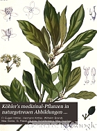 Köhler's medizinal-pflanzen in naturgetreuen abbildungen mit kurz erläuterndem texte : atlas zur pharmacopoea germanica, austriaca, belgica, danica, helvetica, hungarica, rossica, suecica, neerlandica, British pharmacopoeia, zum Codex medicamentarius, sowie zur Pharmacopoeia of the United States of America