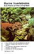 Marine invertebrates and plants of the living reef