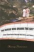 The horse who drank the sky : film experience beyond narrative and theory