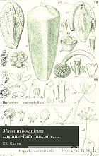 Museum botanicum Lugduno-Batavum; sive, Stirpium exoticarum novarum vel minus cognitarum ex vivis aut siccis brevis expsitio et descriptio.