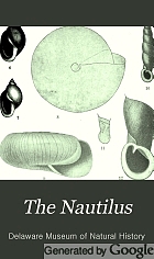 The Nautilus.
