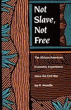Not slave, not free : the African American economic experience since the Civil War