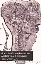 Grundriss der vergleichenden Anatomie der Wirbelthiere, für Studirende bearb.
