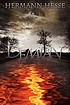 Demian 著者：  Hermann Hesse 
