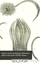 Report on the zoological collections made in the Indo-Pacific Ocean during the voyage of H.M.S. 'Alert' 1881-2.