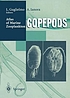 Atlas of marine zooplankton, Straits of Magellan de L Guglielmo