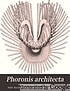 Phoronis architecta : its life history, anatomy... 著者： Rheinart Parker Cowles
