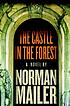 The castle in the forest : a novel