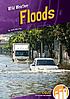 Floods by  Julie Murray 