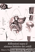 Riflessioni sopra il sistema linfatico dei rettili : risposta ... alle censure che il Prof. Bartolomeo Panizza ha ...