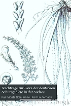 Nachträge zur Flora der deutschen Schutzgebiete in der Südsee : mit Ausschluss Samoa's und der Karolinen