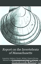 Report on the Invertebrata of Massachusetts,