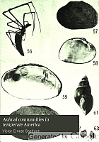 Animal communities in temperate America, as illustrated in the Chicago region ; a study in animal ecology,