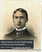 Observations on the embryology of insects and arachnids