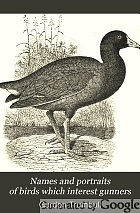 Names and portraits of birds which interest gunners, with descriptions in languages understanded of the people;