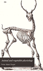 Animal and vegetable physiology, considered with reference to natural theology,