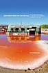 Greetings from the Salton Sea : folly and intervention... by  Kim Stringfellow 