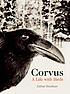 Corvus : a life with birds