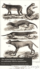 The animal kingdom : arranged in conformity with its organization