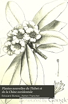 Plantes nouvelles du Thibet et de la Chine occidentale : recueillies pendant le voyage de M. Bonvalot et du Prince Henri d'Orléans en 1890