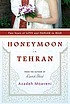 Honeymoon in Tehran : two years of love and danger in Iran