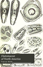 Diatomaceæ of North America, illustrated with twenty-three hundred figures from the author's drawings on one hundred and twelve plates.