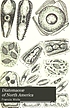 Diatomaceæ of North America, illustrated with... von Francis Wolle