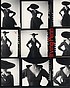 Irving Penn : a career in photography door Irving Penn
