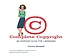 Complete copyright : an everyday guide for librarians de  Carrie Russell 