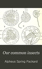 Our common insects : a popular account of the insects of our fields, forests, gardens and houses : illustrated with 4 plates and 268 woodcuts
